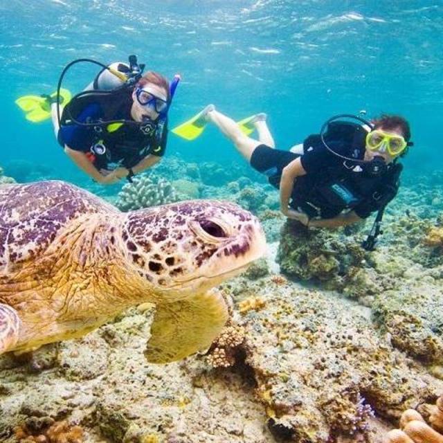 SCUBA Certifications @ Dive Shop San Marcos