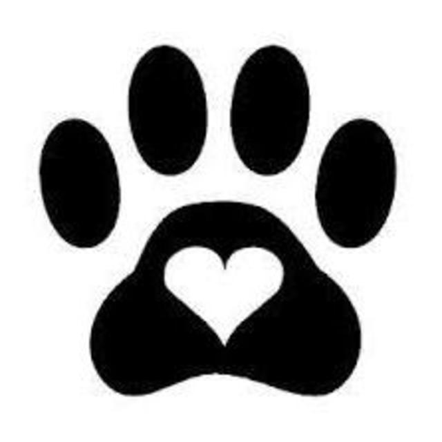 Puppy Fund!