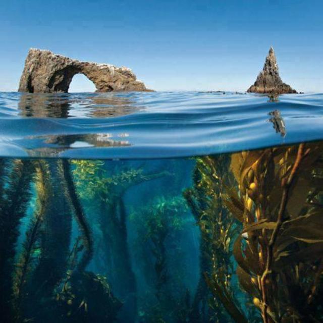 KAYAK + SNORKLE CHANNEL ISLANDS