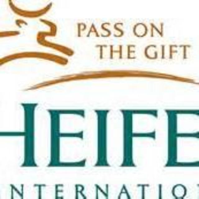 Give the Gift of a Sheep to a village