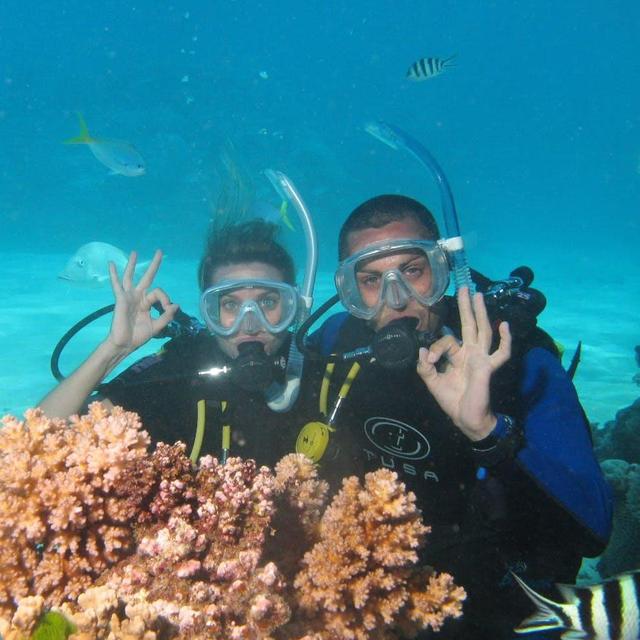 Great Barrier Reef Excursion