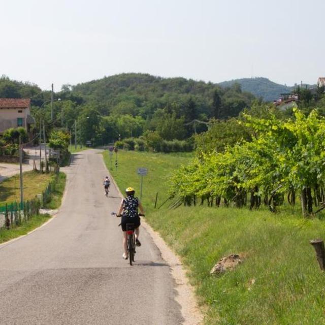 Rent a Bicycle to tour Italian Country Side <3