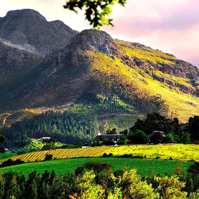 Franschhoek Wine Country