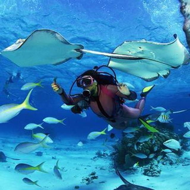 Scuba Diving