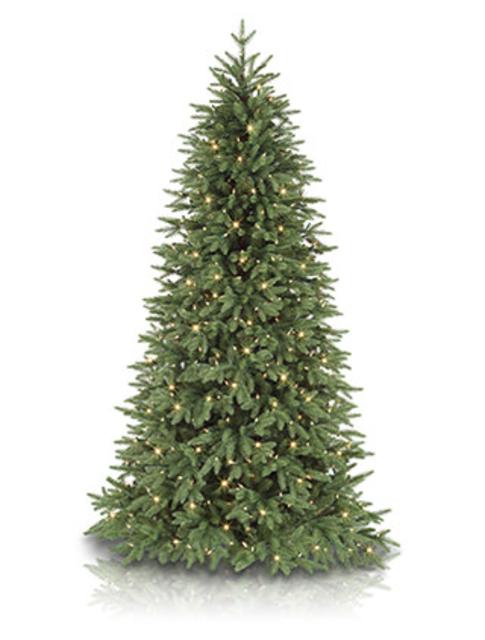 Stratford Spruce Christmas Tree