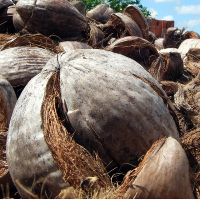 1 MT CO2e, Carbon Offset- Ceará Renewable Energy Project, Brazil