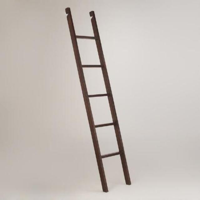 Augustus Bookshelf Ladder