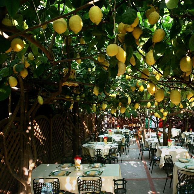 Dinner in Capri - Da Paolino
