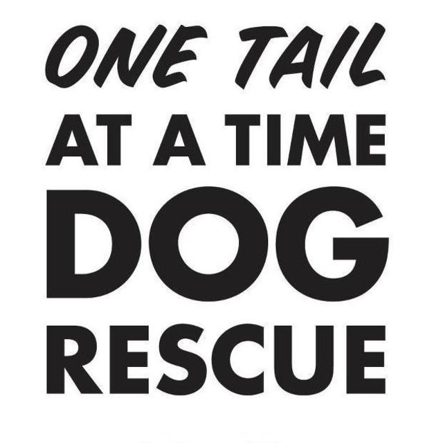 One Tail at a Time Charitable Donation