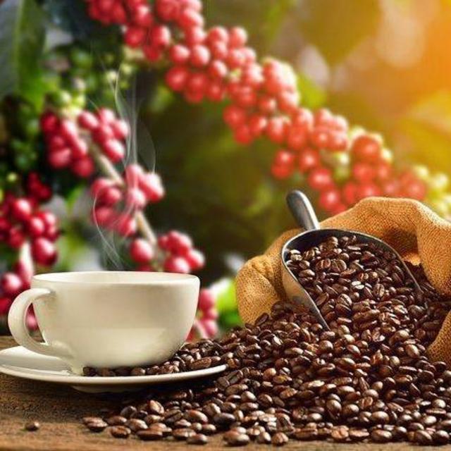 Honeymoon Coffee Tour