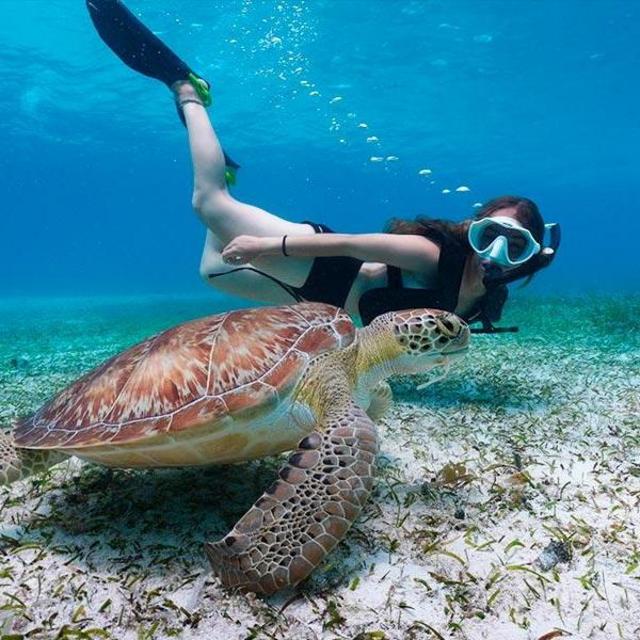 Honeymoon Guided Snorkeling