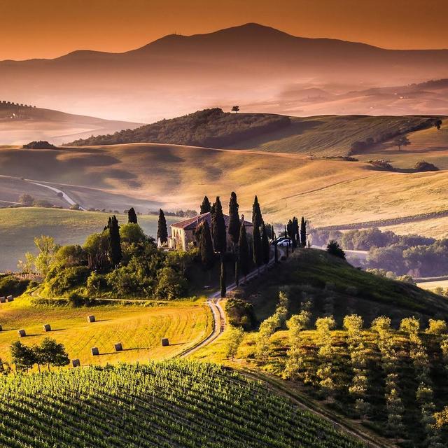 Vineyard Tour in Tuscany