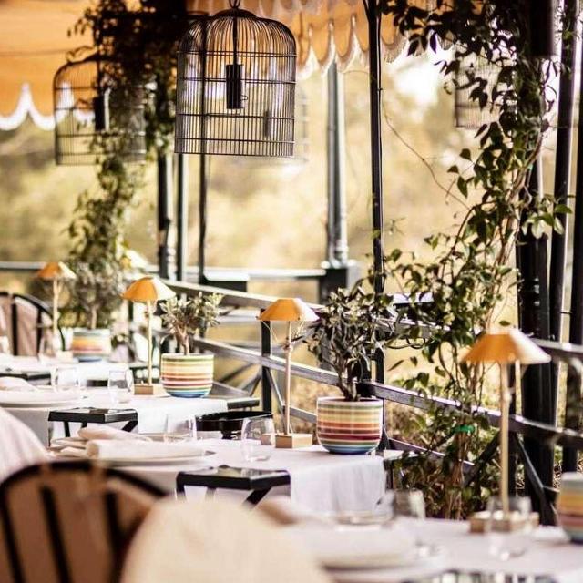Dinner at Il Pellicano
