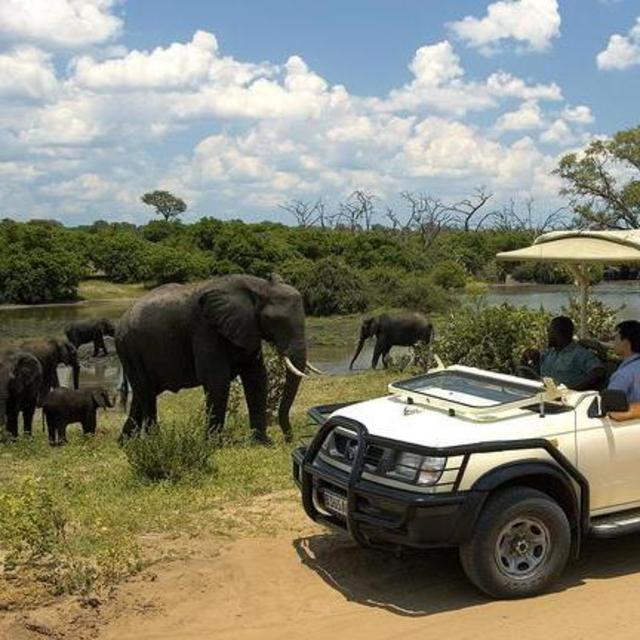 Chobe, Botswana Day Trip & Safari