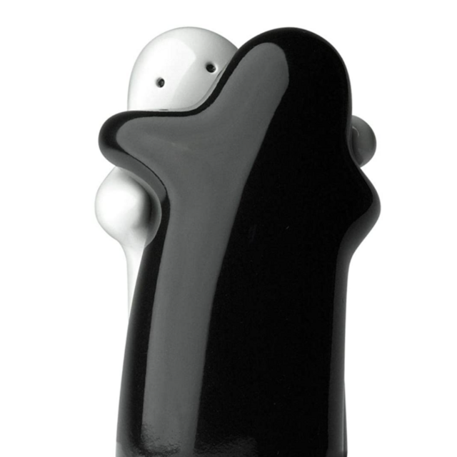 Salt and pepper hugging couple