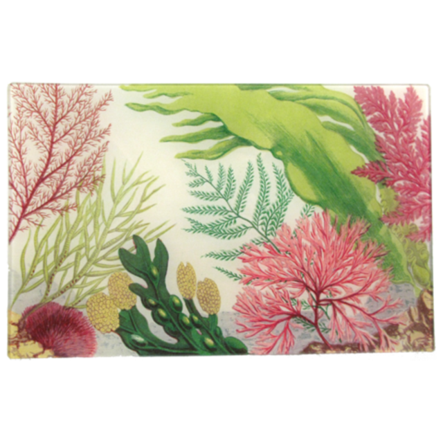 Sea Life D 9 x 14" Letter Tray