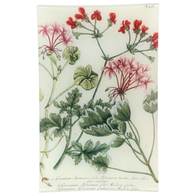 Geranium 536 9 x 14" Wall Tray