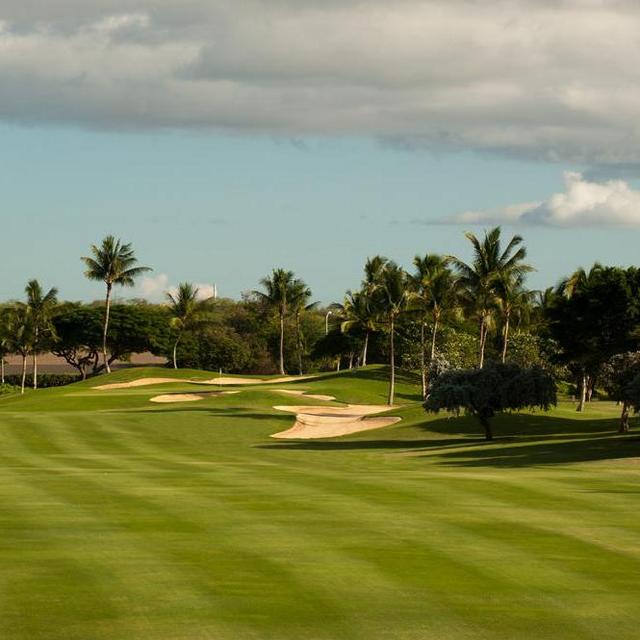 Honeymoon Round of Golf