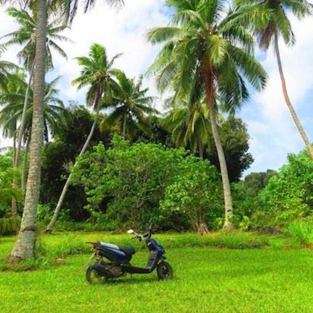 Scooter Tour of Phuket