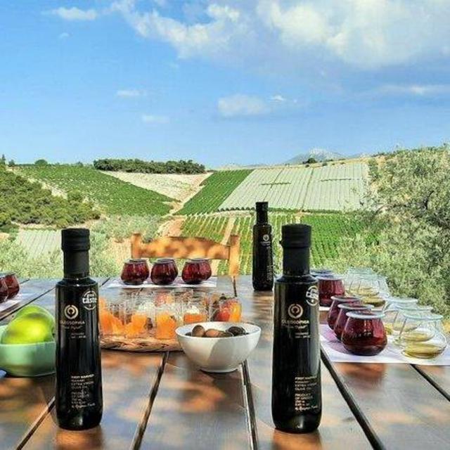 Olive oil farm tour in Greece