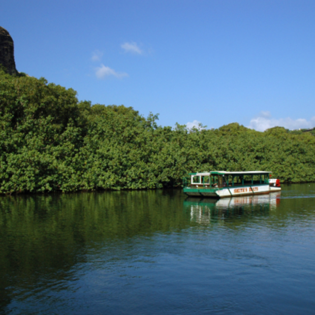 Wailua River Cruise to Fern Grotto with Live Entertainment