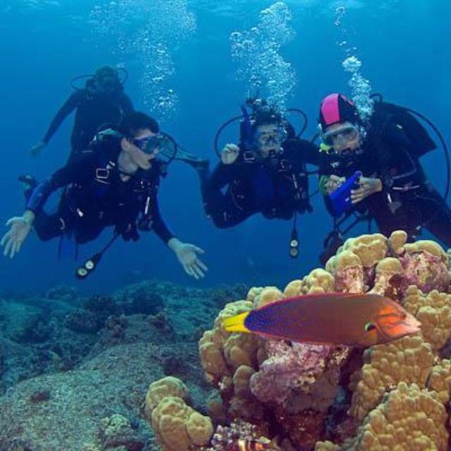 Scuba Diving Excursion