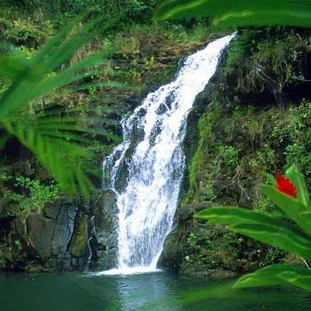 Waimea Falls – North Shore Experience, Oahu