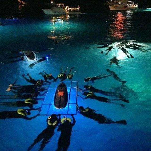 Night Manta Ray Adventure on The Big Island