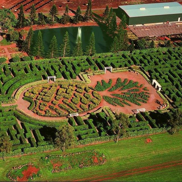 Dole Plantation Garden & Maze Tour in Oahu