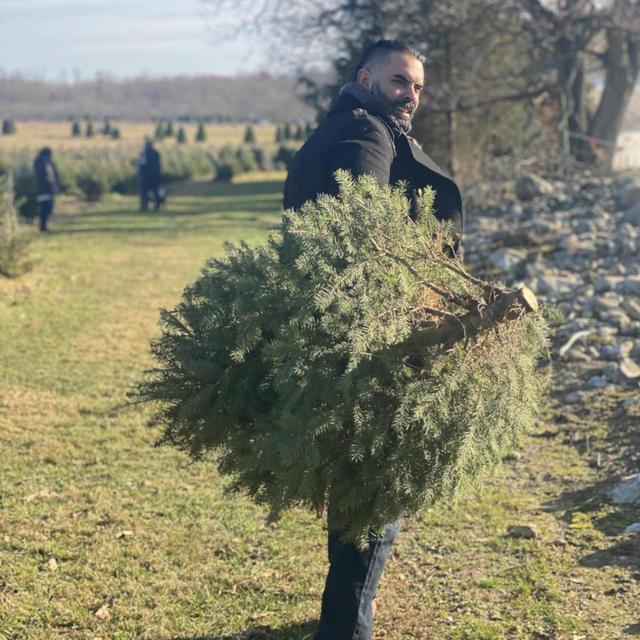 The perfect Christmas tree.
