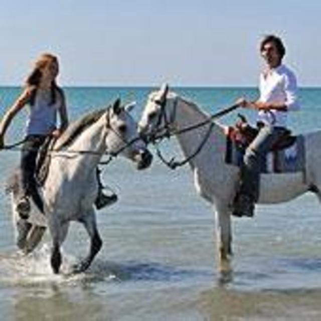 Horseback Ride & Swim