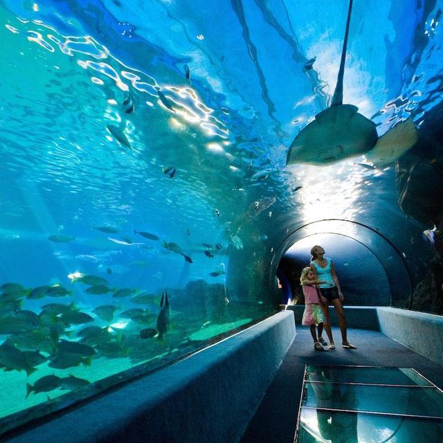 Maui Ocean Center Tour