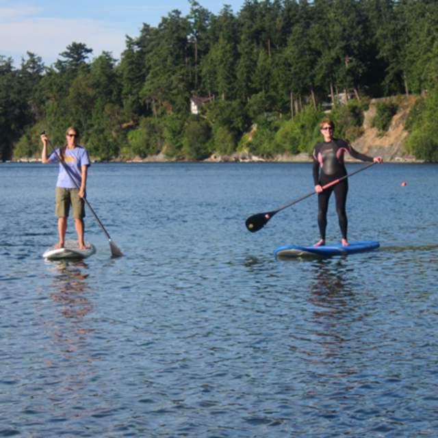 Honeymoon paddle board rental
