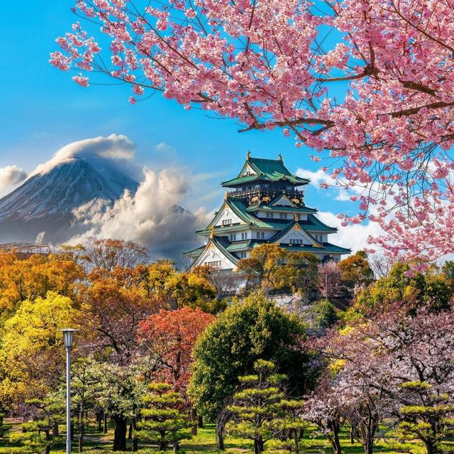 Honey moon to Japan