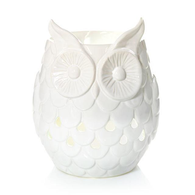 Owl w/ LED and Timer