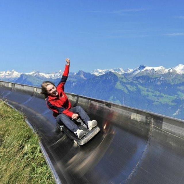 Alpine Slide Tickets For Two On Our Honeymoon