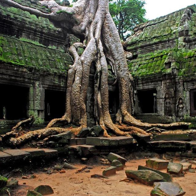 Angkor Wat Extension (1 night/person)