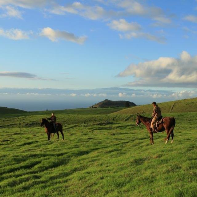 Paniolo Adventures: Hawaii Horseback Riding on the Big Island