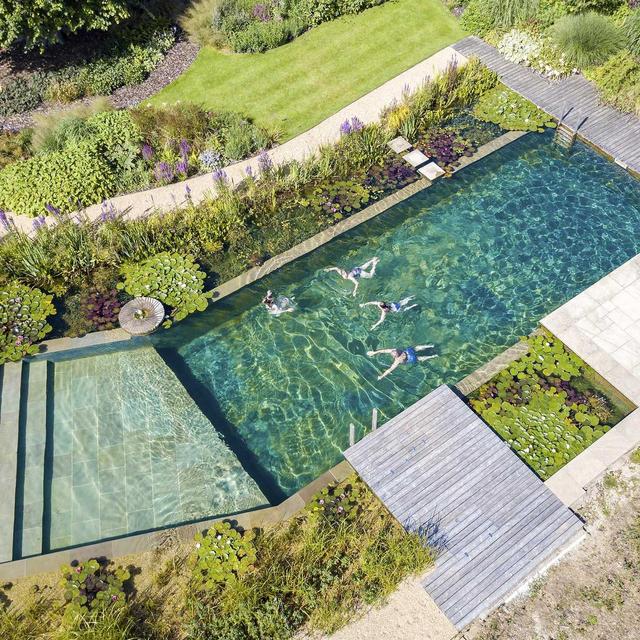 Backyard Pool Fund