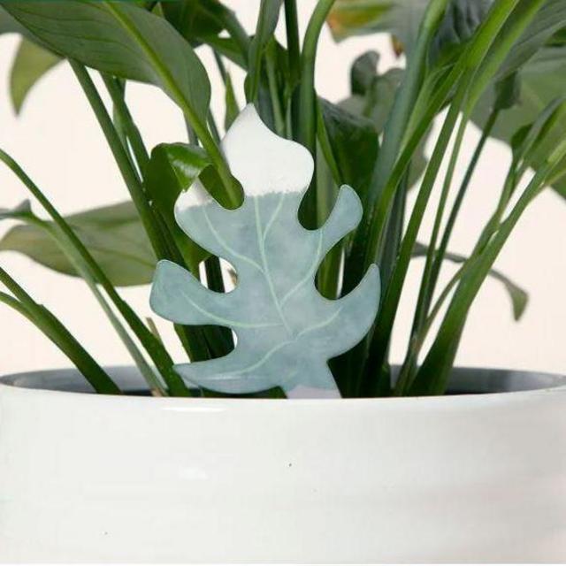 Color-Changing Plant Moisture Indicator Set