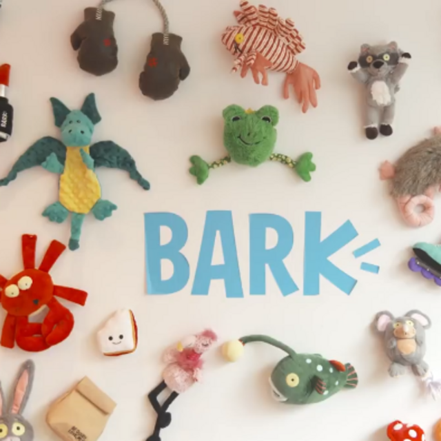 Our Pet Toy/Treat Fund