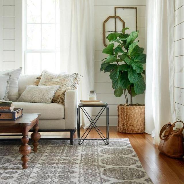 Furniture and Home Decor