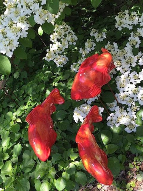 Salsa Koi Garden Art