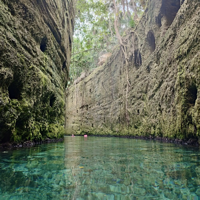 Nature Excursion in Mexico