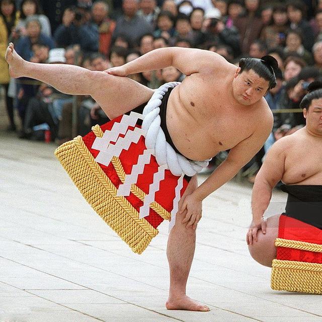 Sumo Wrestling Match