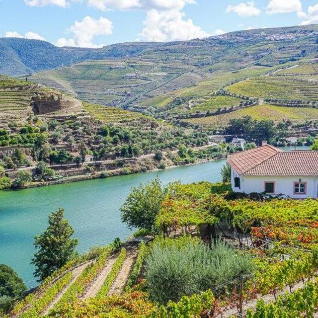 Wine Tasting in the Douro Valley, Portugal
