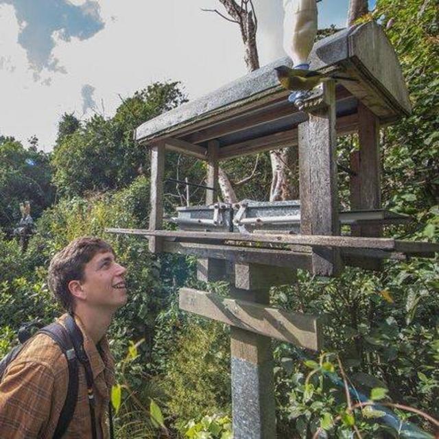 Wellington Wildlife Tour