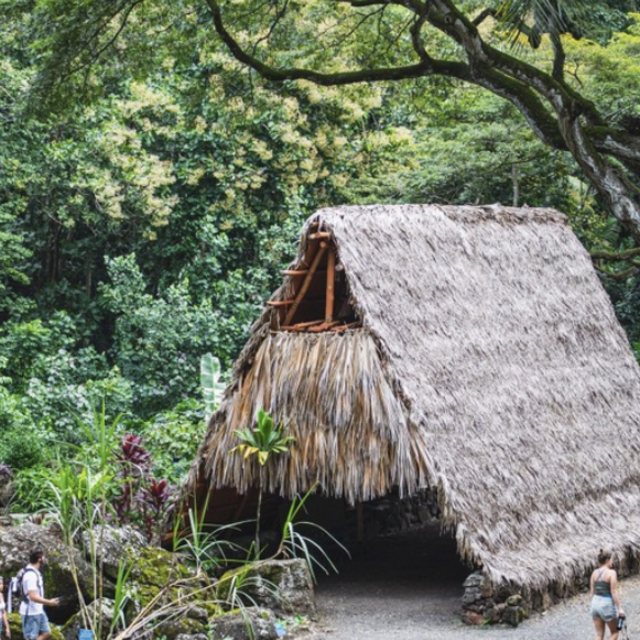 Waimea Valley botanical gardens admission