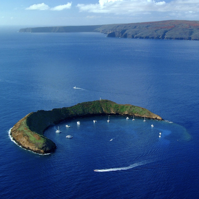 Molokini Snorkel Tour