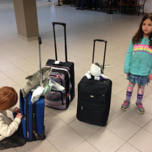 Honeymoon Travel Fund